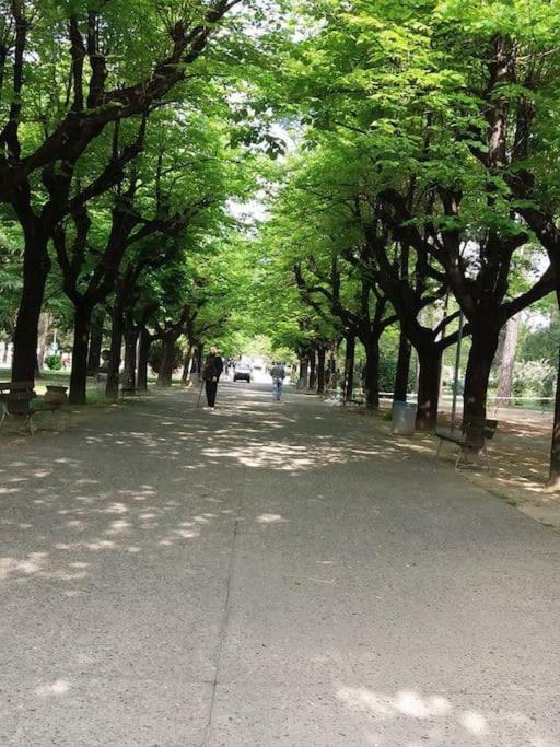 曼代洛-德尔拉里奥Casa Da Ste公寓 外观 照片